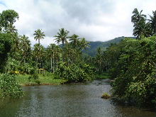 Landscape in Taveuni   255 kB