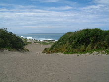 Sigatoka Sand Dunes   217 kB